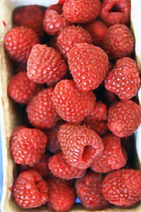 Raspberry Bababerry